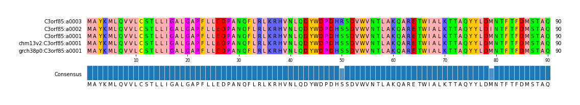 Multiple Alignments (by translate haplotype similarity)
