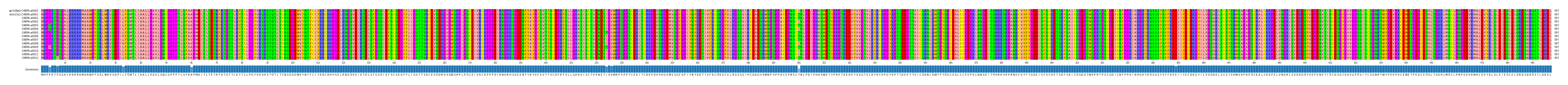 Multiple Alignments (by translate haplotype frequency)