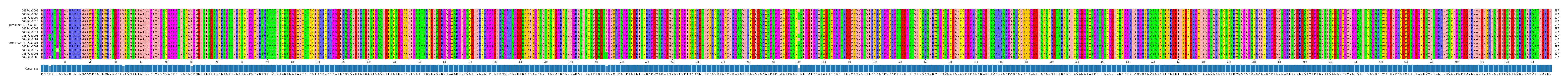 Multiple Alignments (by translate haplotype similarity)