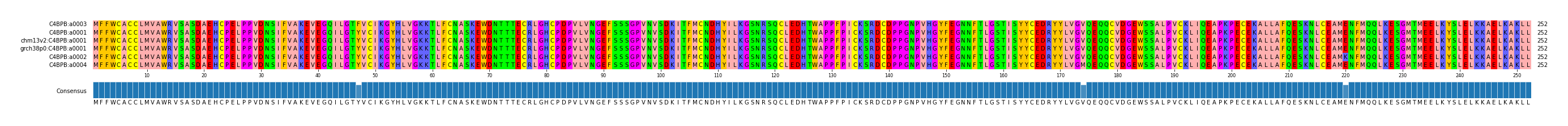 Multiple Alignments (by translate haplotype similarity)