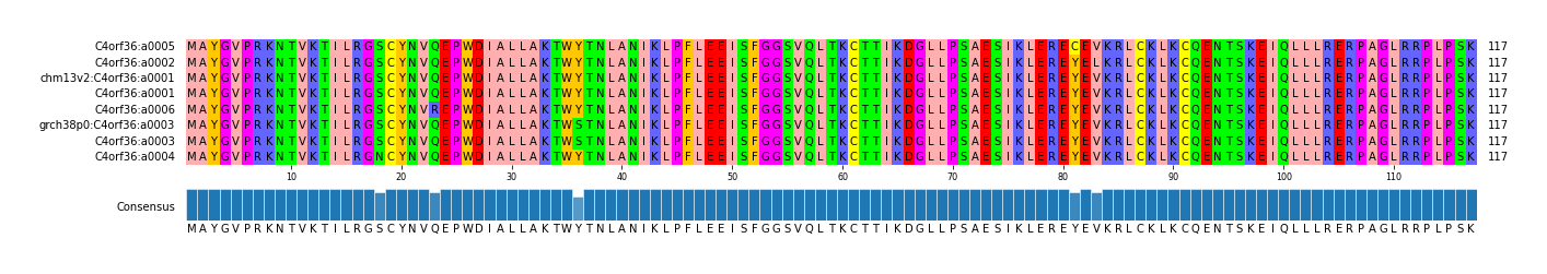 Multiple Alignments (by translate haplotype similarity)