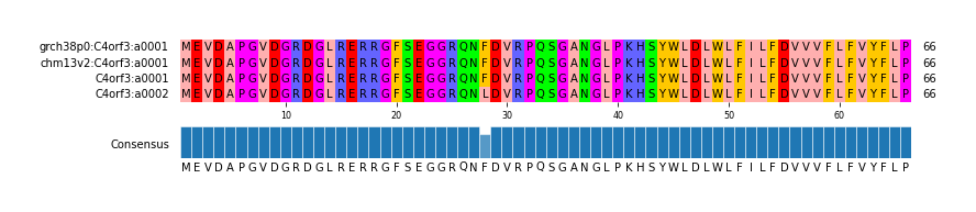 Multiple Alignments (by translate haplotype similarity)