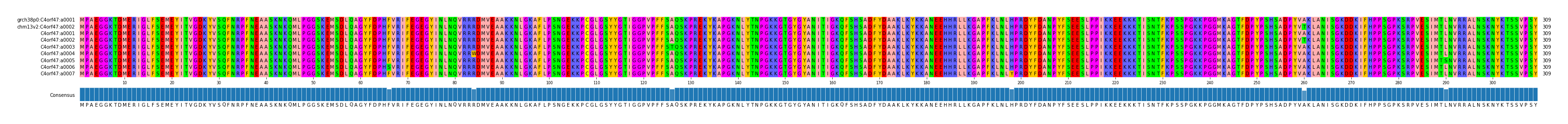 Multiple Alignments (by translate haplotype frequency)