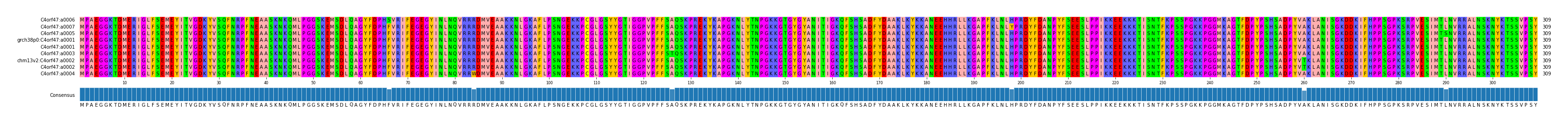 Multiple Alignments (by translate haplotype similarity)