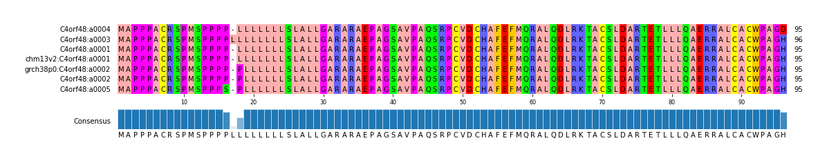 Multiple Alignments (by translate haplotype similarity)