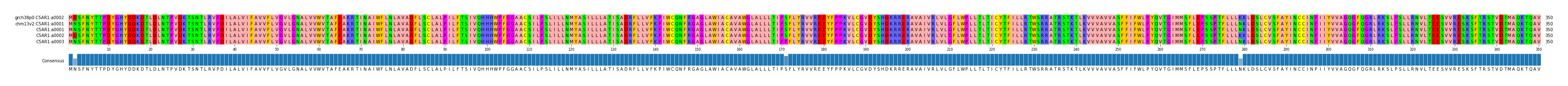 Multiple Alignments (by translate haplotype frequency)
