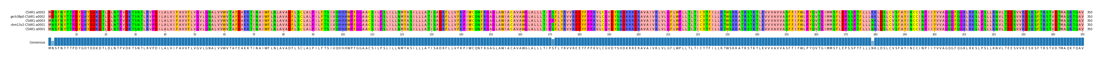 Multiple Alignments (by translate haplotype similarity)