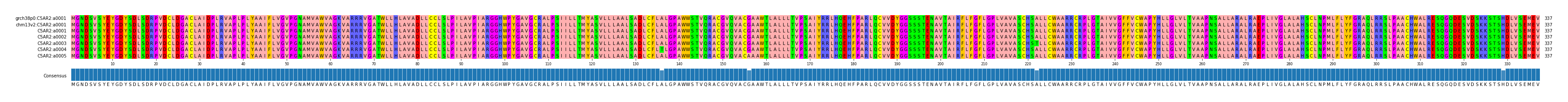 Multiple Alignments (by translate haplotype frequency)