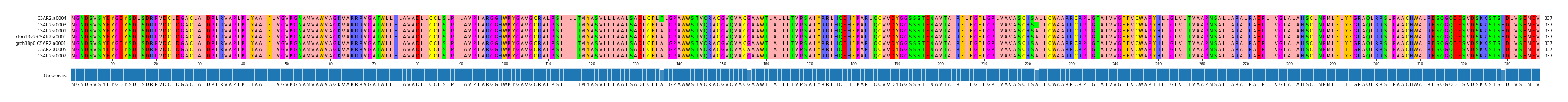Multiple Alignments (by translate haplotype similarity)
