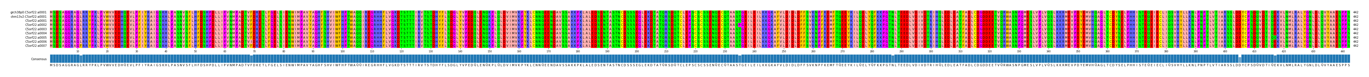 Multiple Alignments (by translate haplotype frequency)