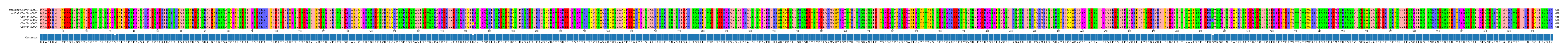 Multiple Alignments (by translate haplotype frequency)