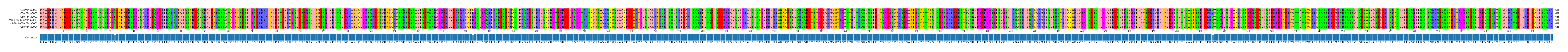 Multiple Alignments (by translate haplotype similarity)