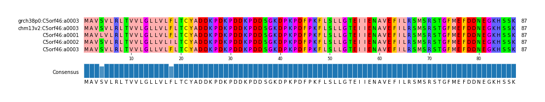 Multiple Alignments (by translate haplotype frequency)