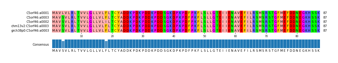 Multiple Alignments (by translate haplotype similarity)