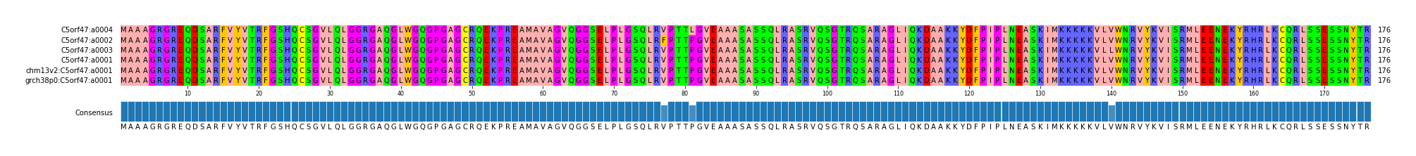 Multiple Alignments (by translate haplotype similarity)