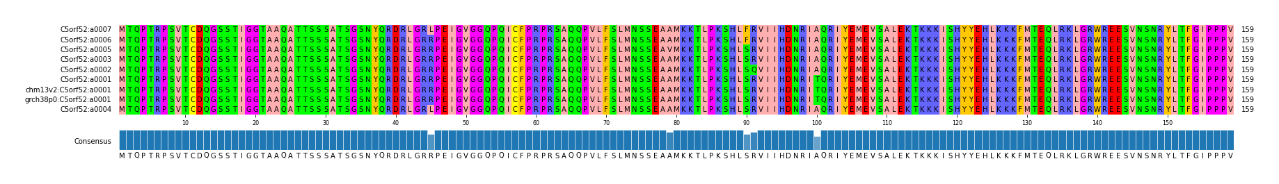 Multiple Alignments (by translate haplotype similarity)