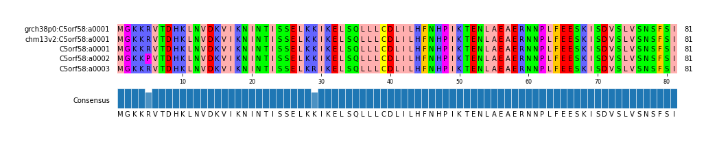 Multiple Alignments (by translate haplotype frequency)