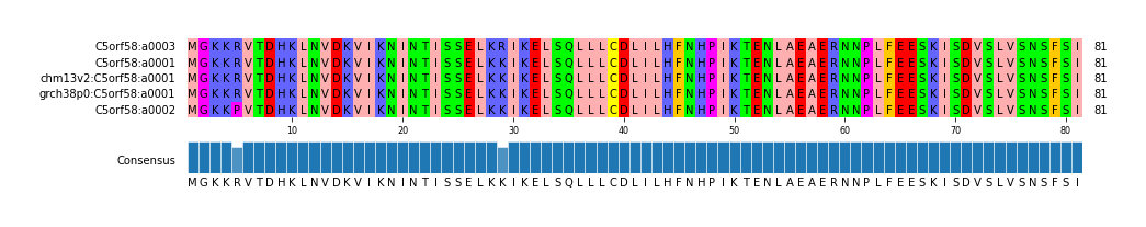 Multiple Alignments (by translate haplotype similarity)