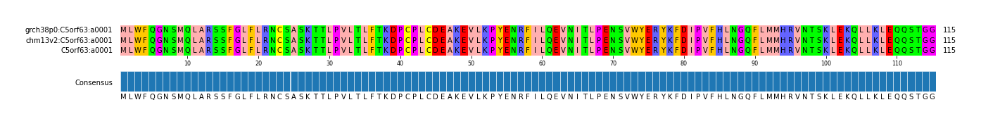 Multiple Alignments (by translate haplotype similarity)
