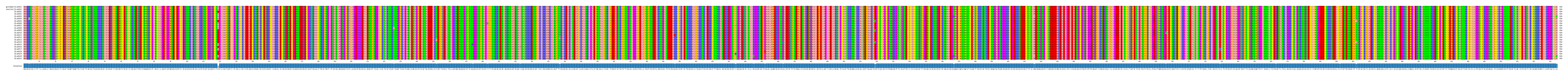 Multiple Alignments (by translate haplotype frequency)