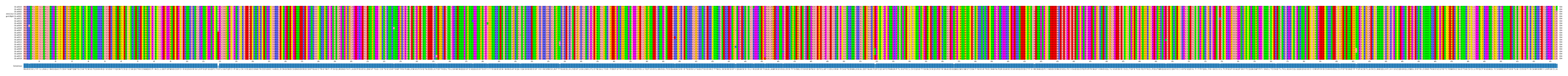 Multiple Alignments (by translate haplotype similarity)