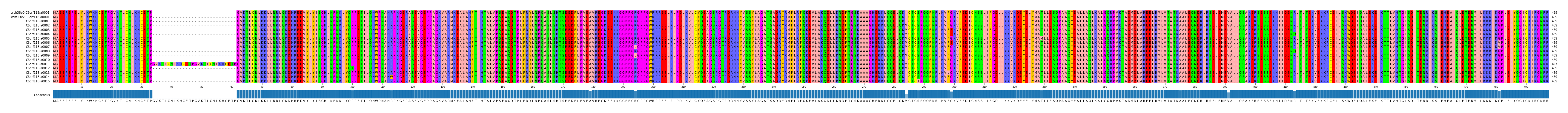 Multiple Alignments (by translate haplotype frequency)