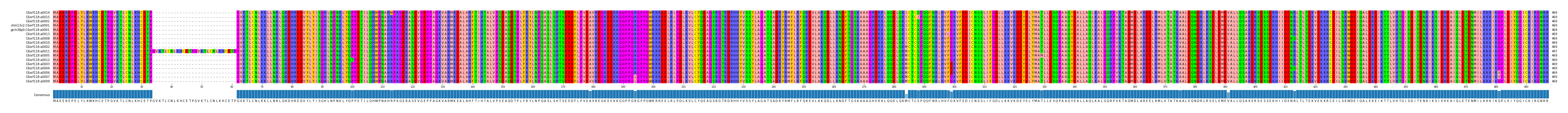 Multiple Alignments (by translate haplotype similarity)