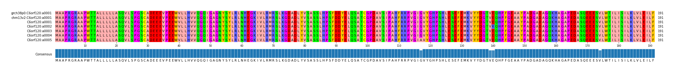 Multiple Alignments (by translate haplotype frequency)