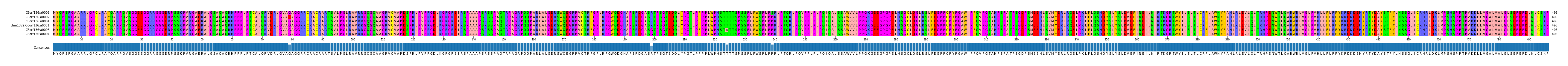 Multiple Alignments (by translate haplotype similarity)