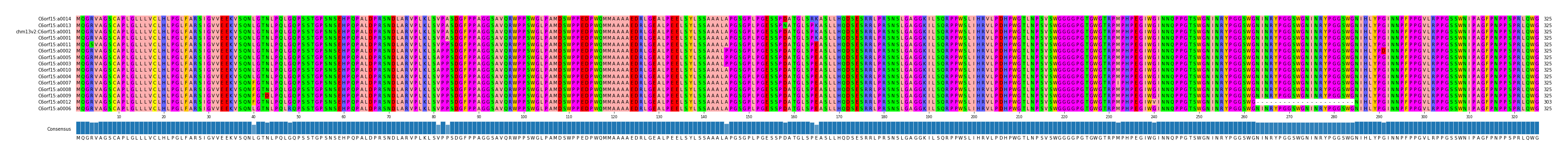 Multiple Alignments (by translate haplotype similarity)
