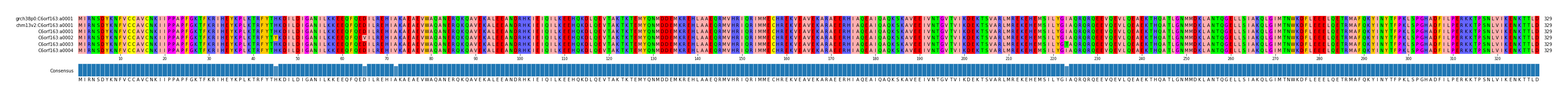 Multiple Alignments (by translate haplotype frequency)