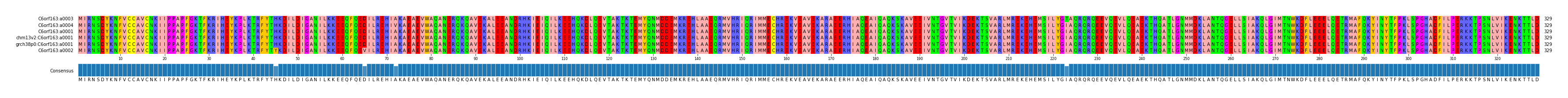Multiple Alignments (by translate haplotype similarity)