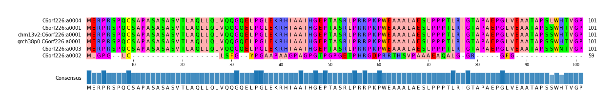 Multiple Alignments (by translate haplotype similarity)