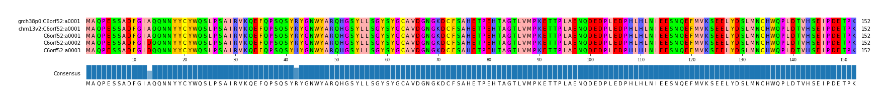 Multiple Alignments (by translate haplotype similarity)