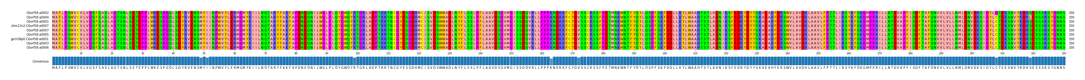 Multiple Alignments (by translate haplotype similarity)