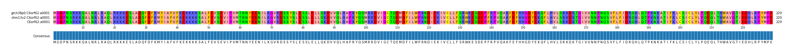 Multiple Alignments (by translate haplotype similarity)