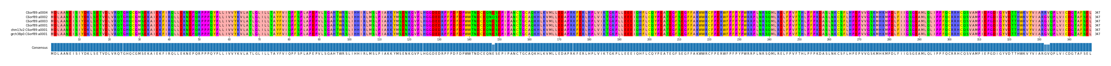 Multiple Alignments (by translate haplotype similarity)