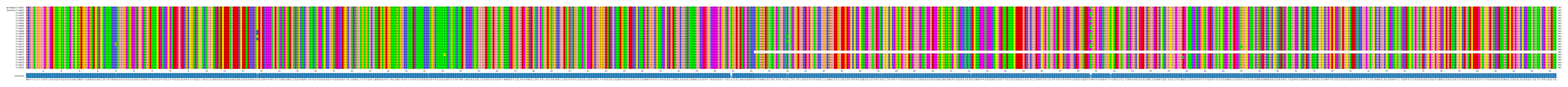 Multiple Alignments (by translate haplotype frequency)