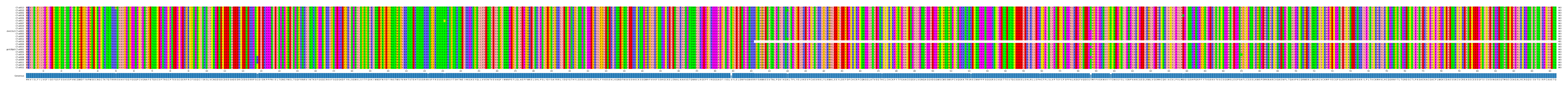Multiple Alignments (by translate haplotype similarity)
