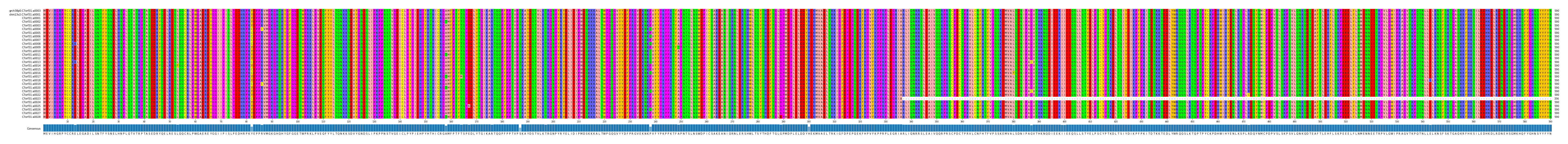 Multiple Alignments (by translate haplotype frequency)