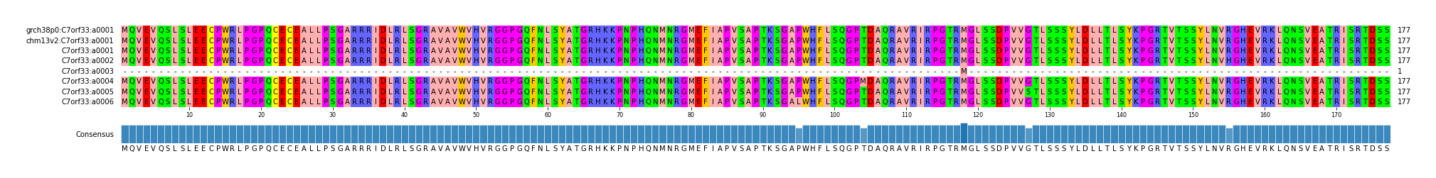 Multiple Alignments (by translate haplotype frequency)