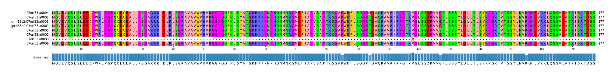 Multiple Alignments (by translate haplotype similarity)