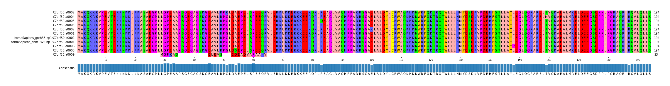 Multiple Alignments (by translate haplotype similarity)