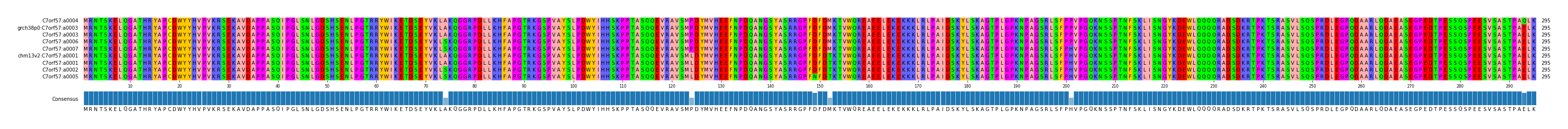 Multiple Alignments (by translate haplotype similarity)