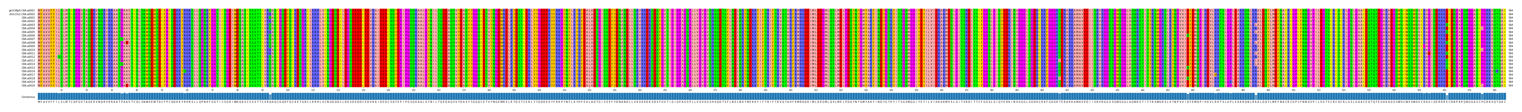 Multiple Alignments (by translate haplotype frequency)