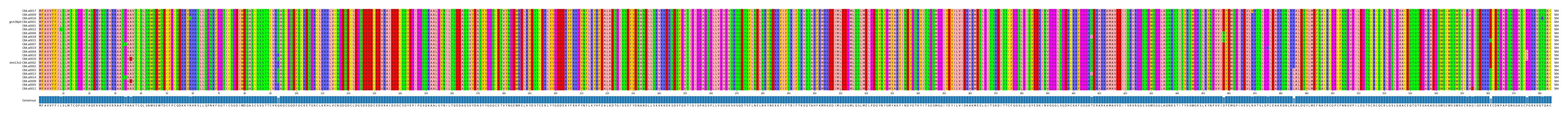 Multiple Alignments (by translate haplotype similarity)
