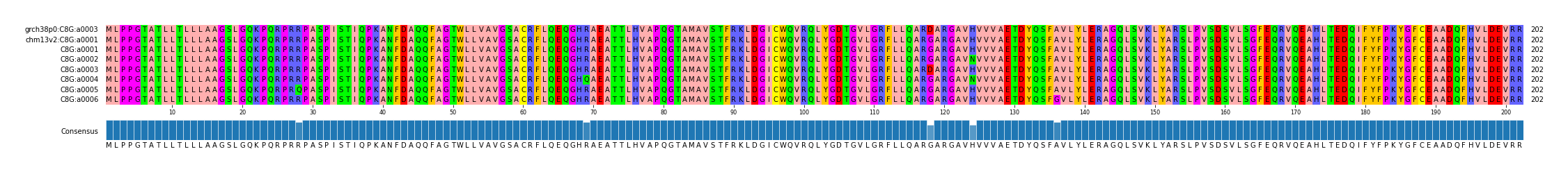 Multiple Alignments (by translate haplotype frequency)