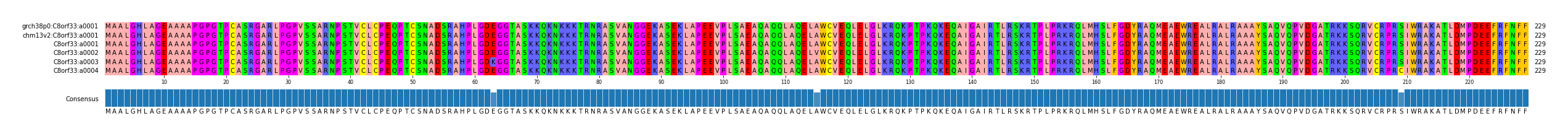 Multiple Alignments (by translate haplotype frequency)