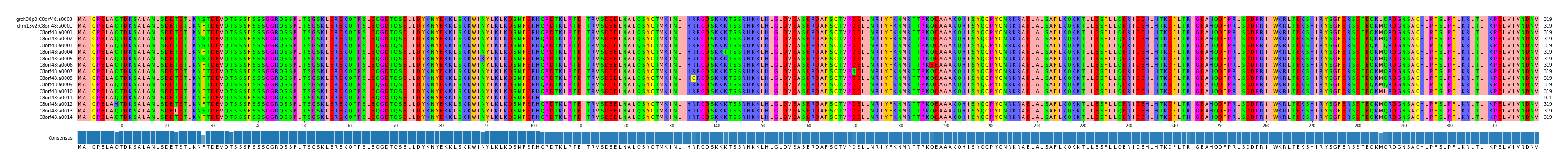 Multiple Alignments (by translate haplotype frequency)