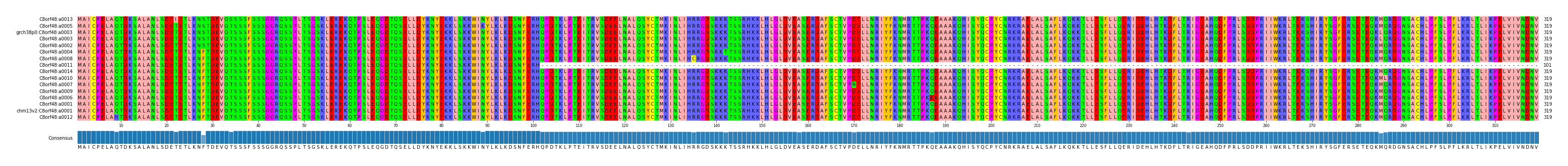 Multiple Alignments (by translate haplotype similarity)